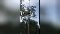 12m Manual Crank up Telescopic Mast